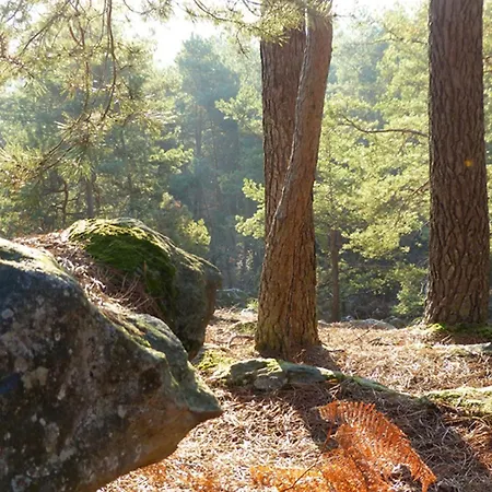 Сasa de vacaciones Le Chant Des Arbres
