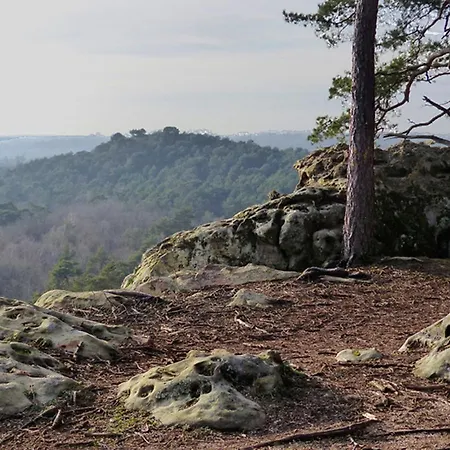Сasa de vacaciones Le Chant Des Arbres Bourron-Marlotte